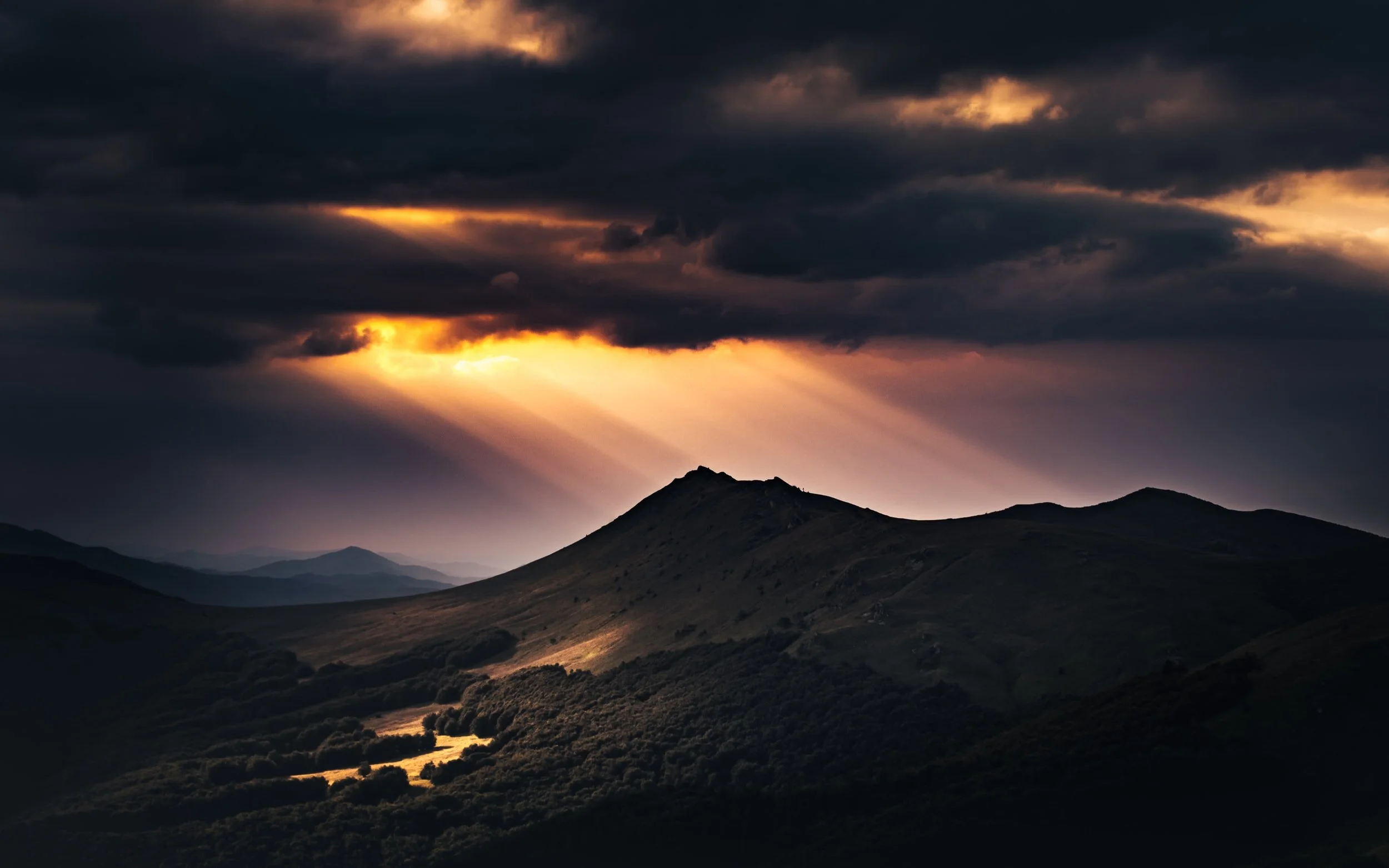 unsplash-image-ViBwnZOLa60.jpg