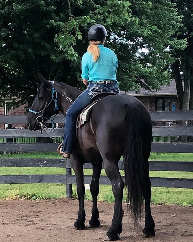 No filters or editing. Just Lady being Lady✨
-
-
I can&rsquo;t believe the auction is tomorrow! Link to the horse lineup is still in the bio 😊