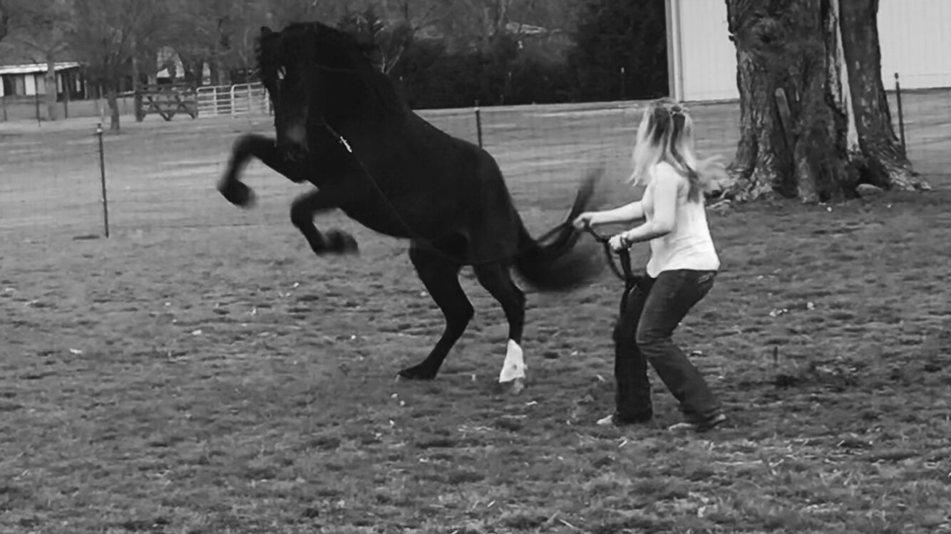 Picking Up TWO new mustangs?? 