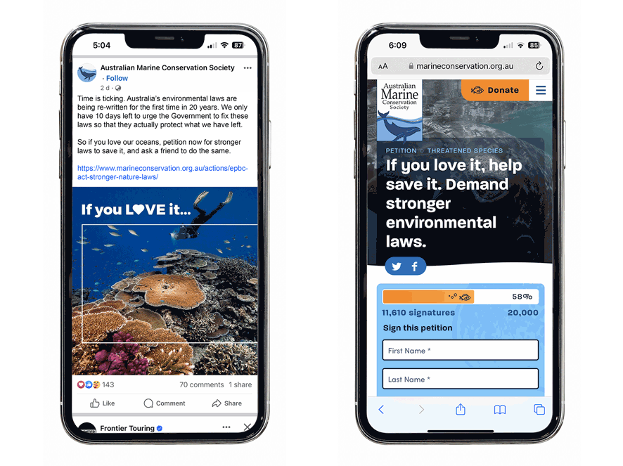 Social Campaign Example from AMCS