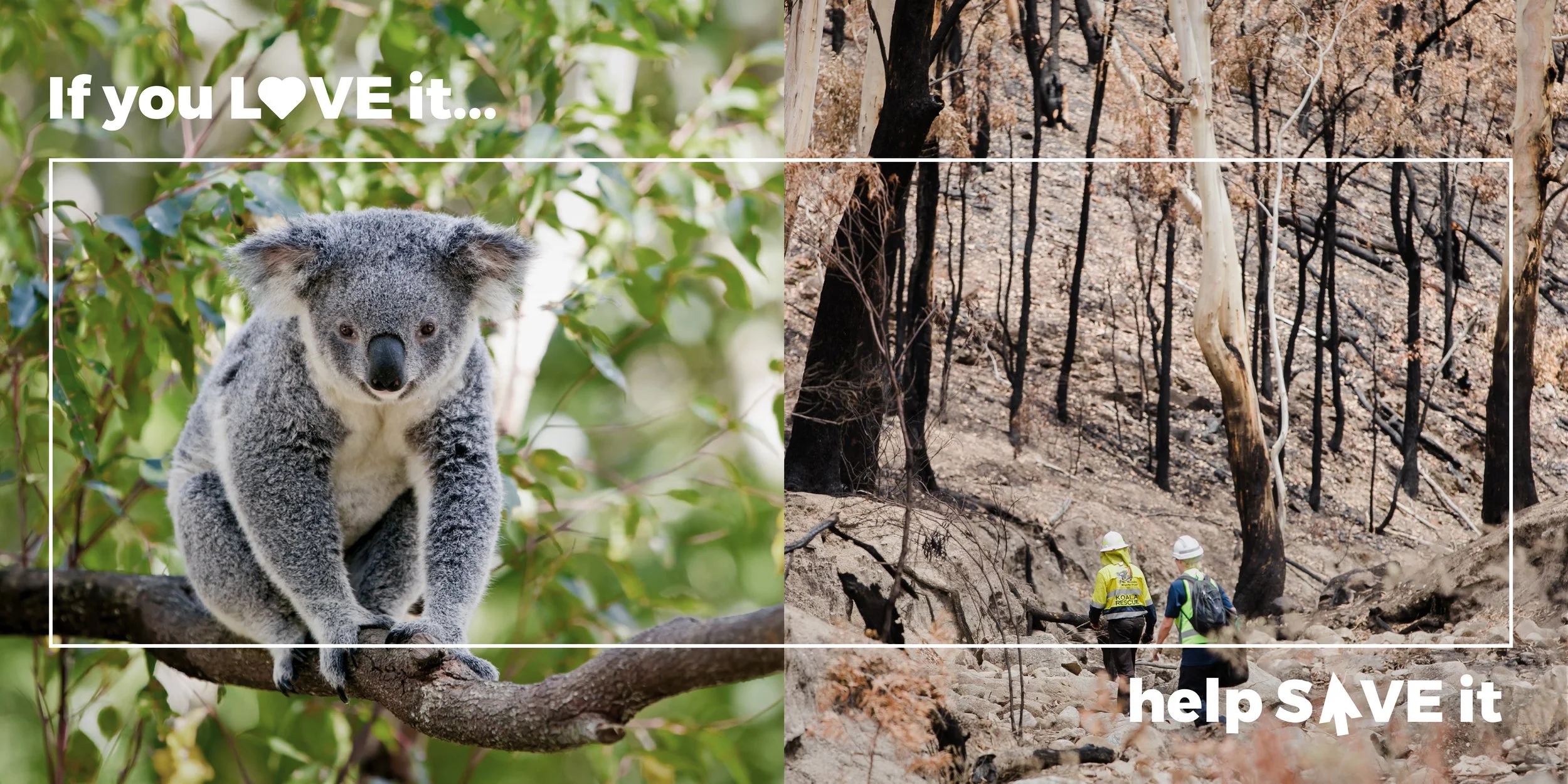 Image example for wildlife