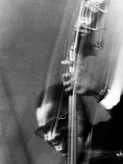 Close-up of a person playing a double bass, captured in black and white.