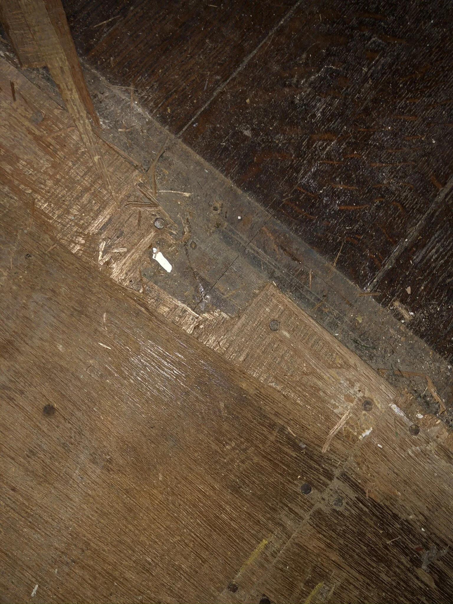 Evidence of Hardwood Underneath