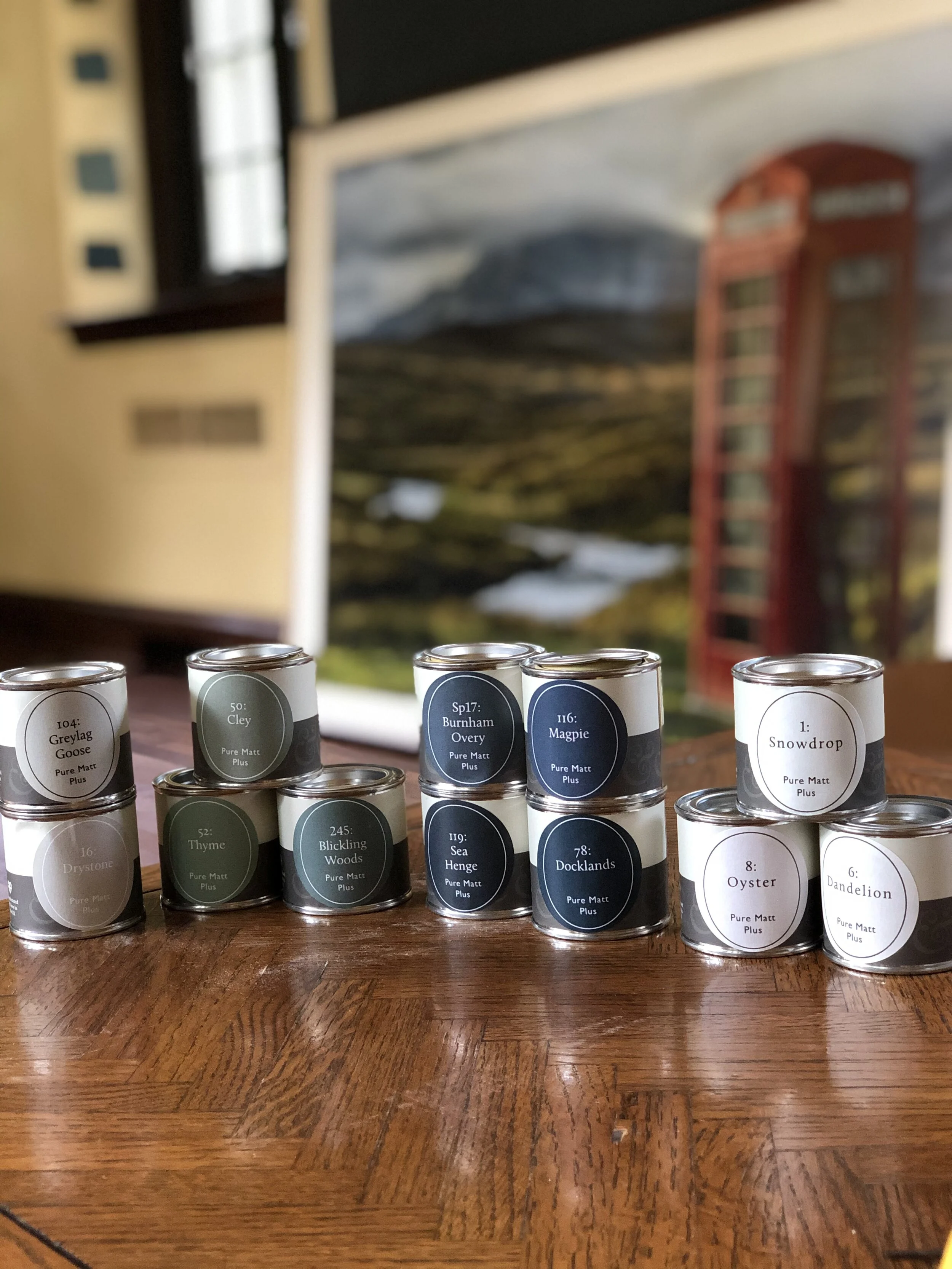 Paint Consultation - Gift Card