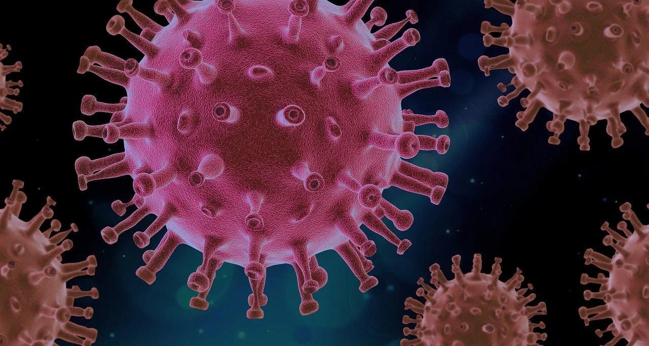 virus.jpg