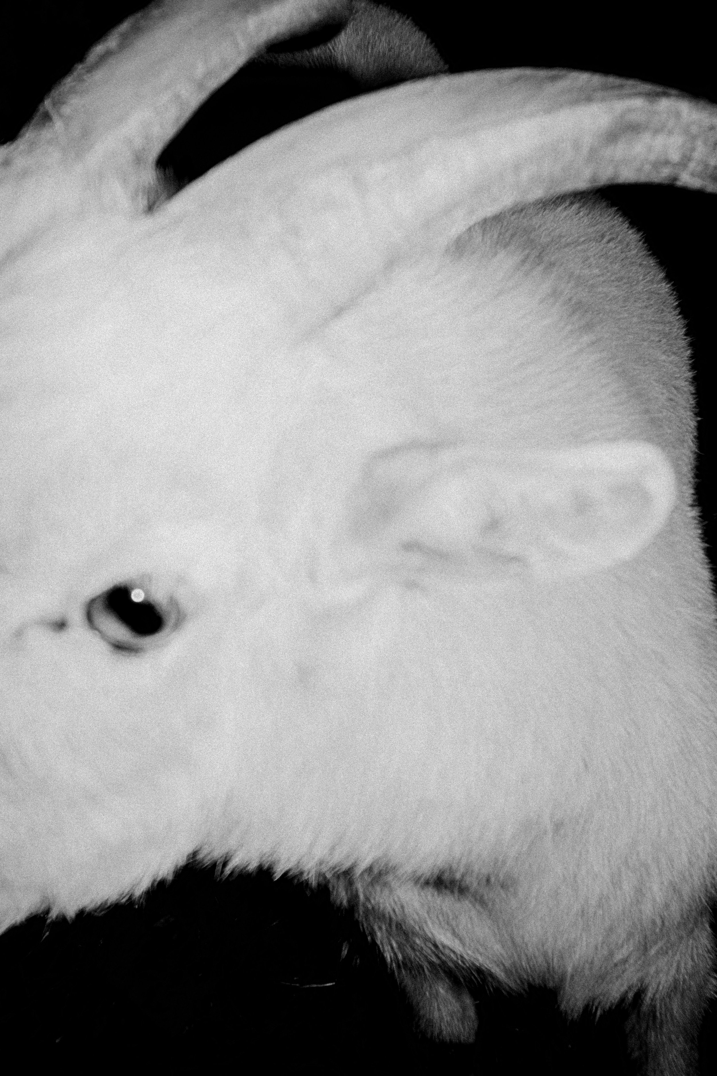 PROPOSED ARTWORK.jpg