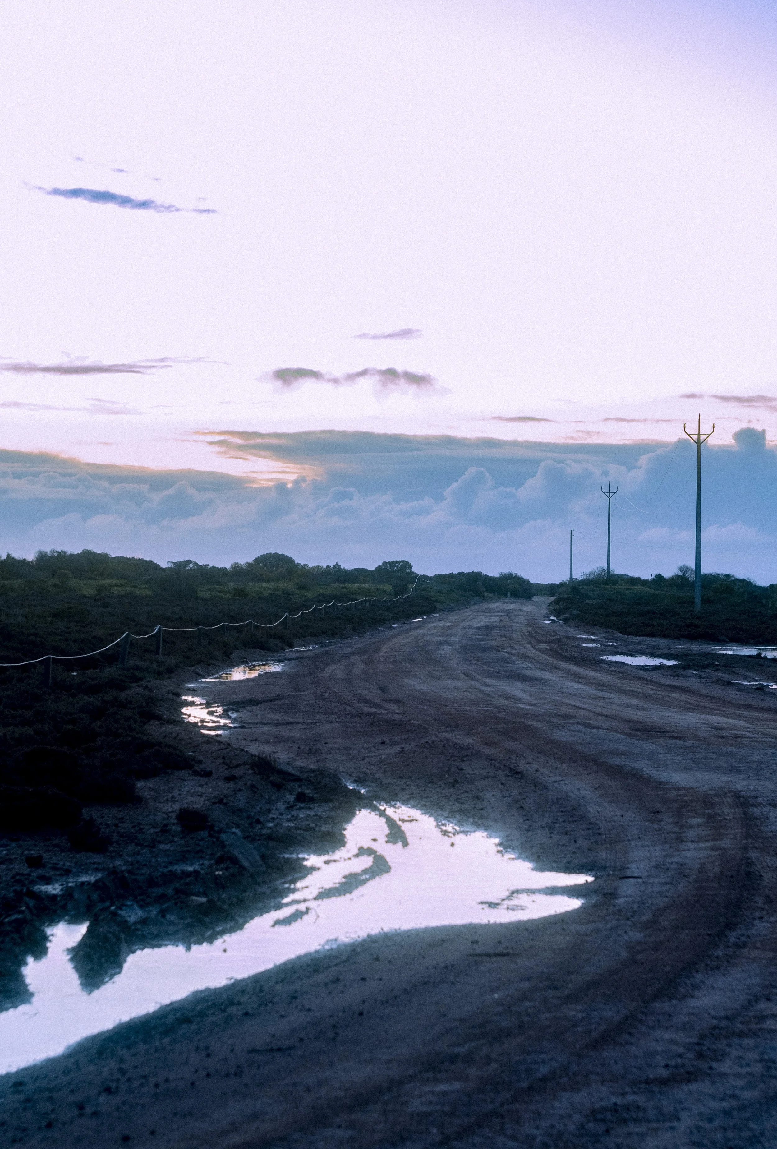 DSCF1375.jpg