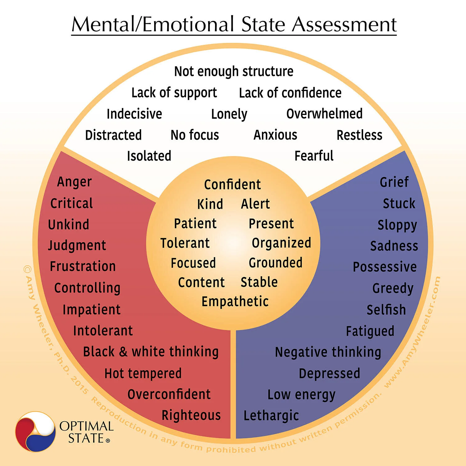 What to Expect During a Session