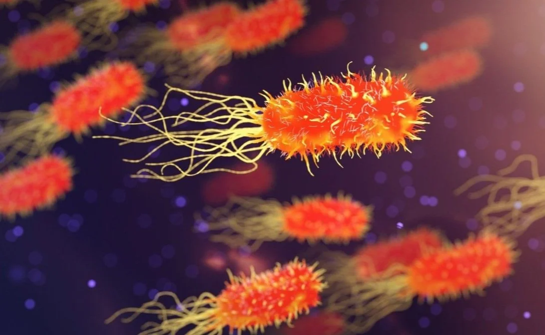 Marvellous Microbes Sundays 4:00pm