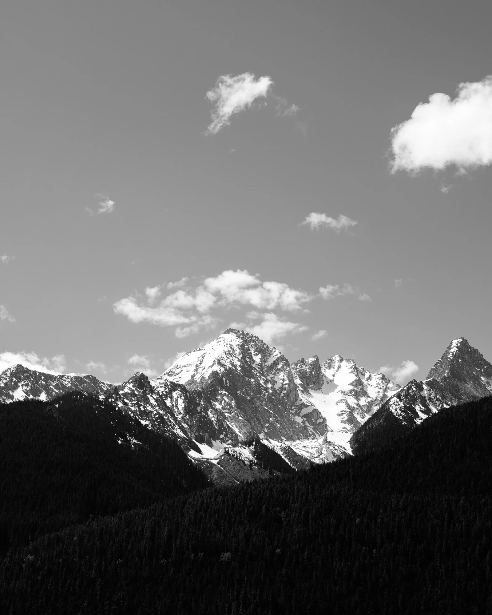 DSCF9435.jpg