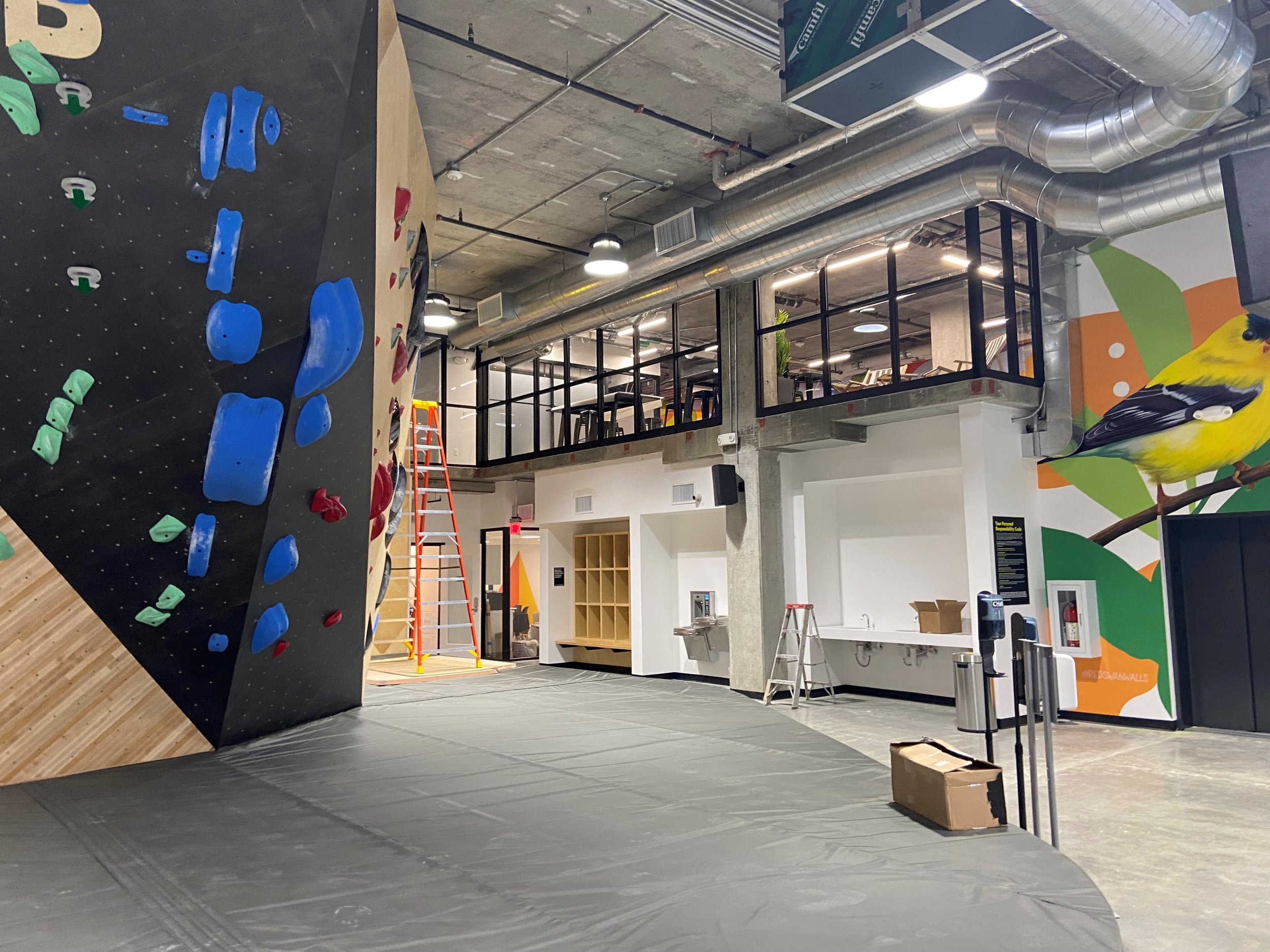 Climbing Gym Design — CHRIS RYAN STUDIO