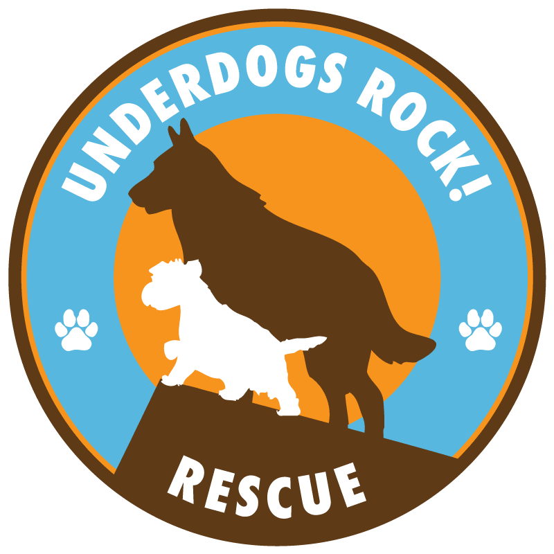 Underdogs Rock! Rescue