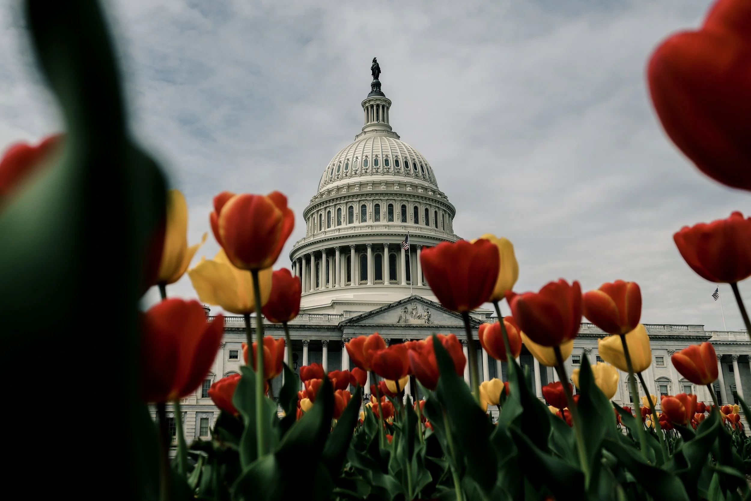 Legislative Updates