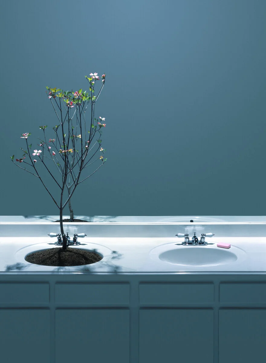 sinks flat.jpg