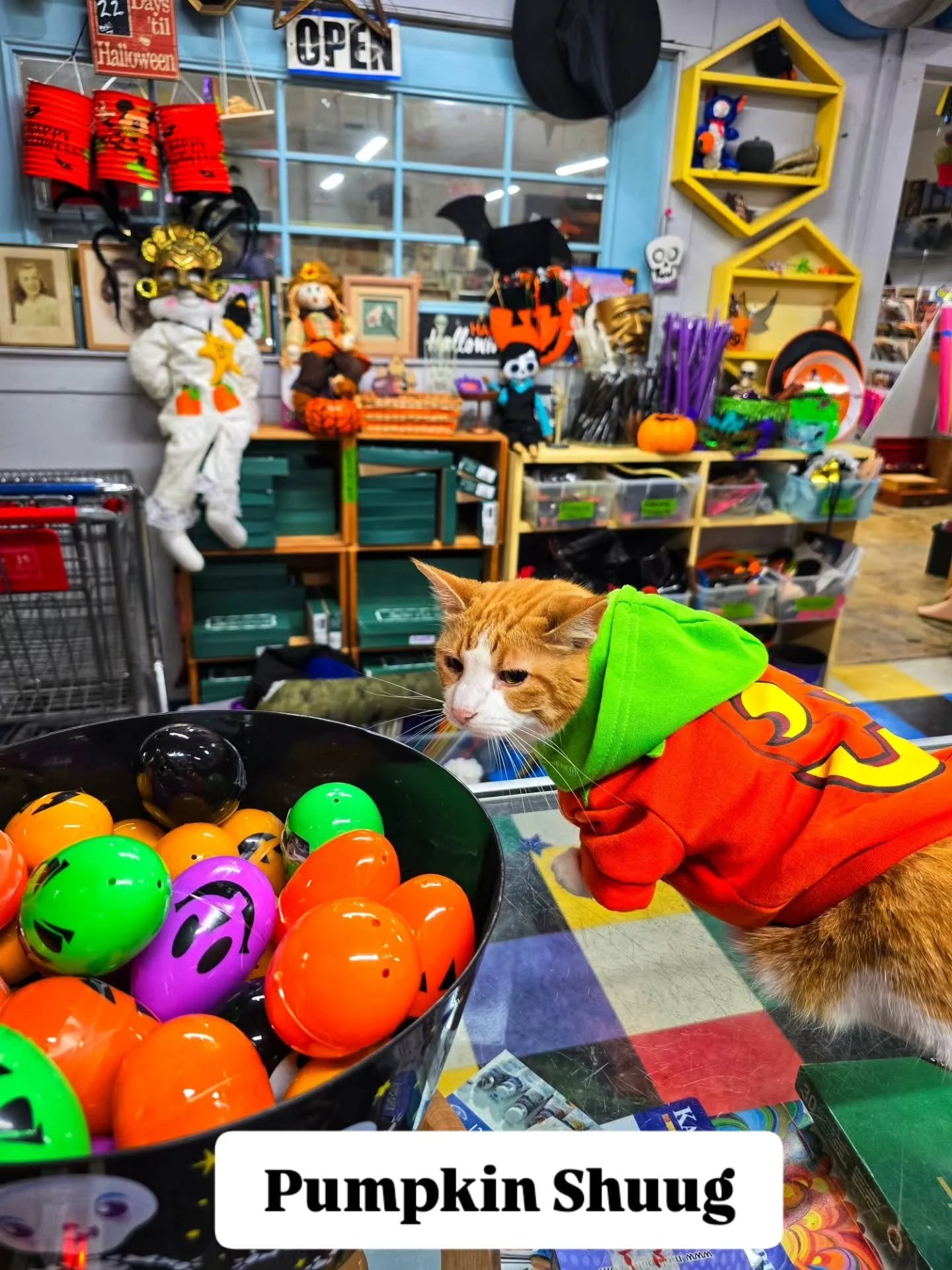 Halloween is in 3 days! Join the fun and pick up some last minute awesome Halloween costume pieces