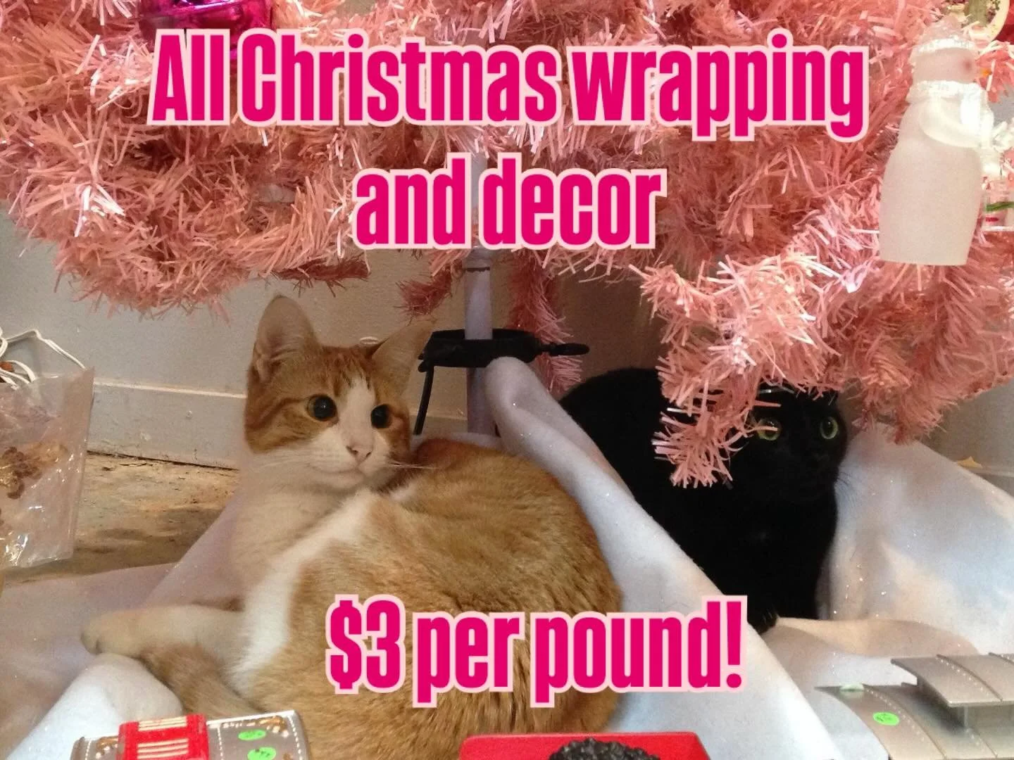 Y&rsquo;all come get this Christmas stuff! It&rsquo;s just $3/lb, cats not included!