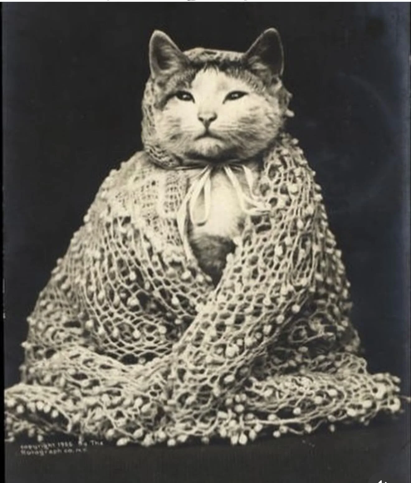 We are going to be closed today. Hope you&rsquo;re all staying warm and cozy too!