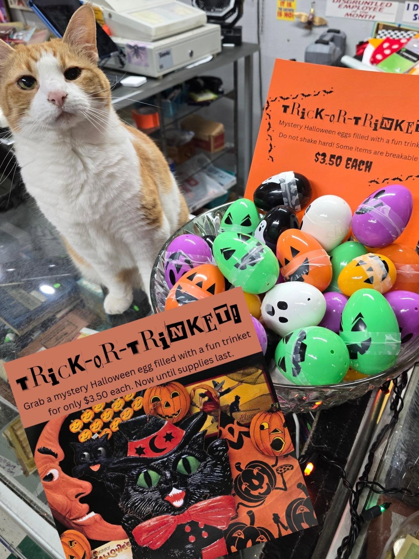 It's October 1st, time to get spooky yall! Halloween is back in store with our Trick-or-Trinket mystery trinket eggs, ephemera packs, costumes, decor and more.