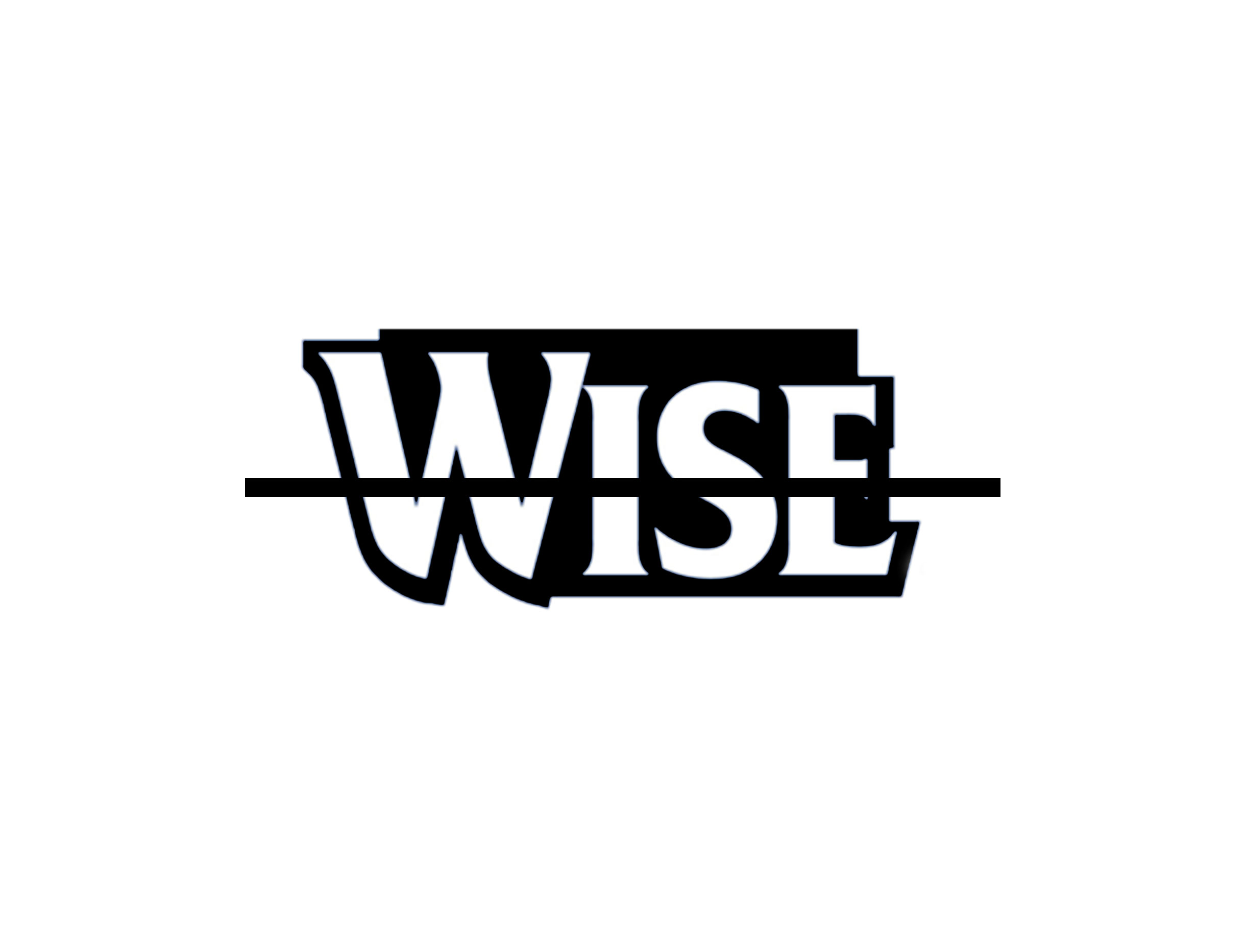 Wise: Food Truck Chronicles