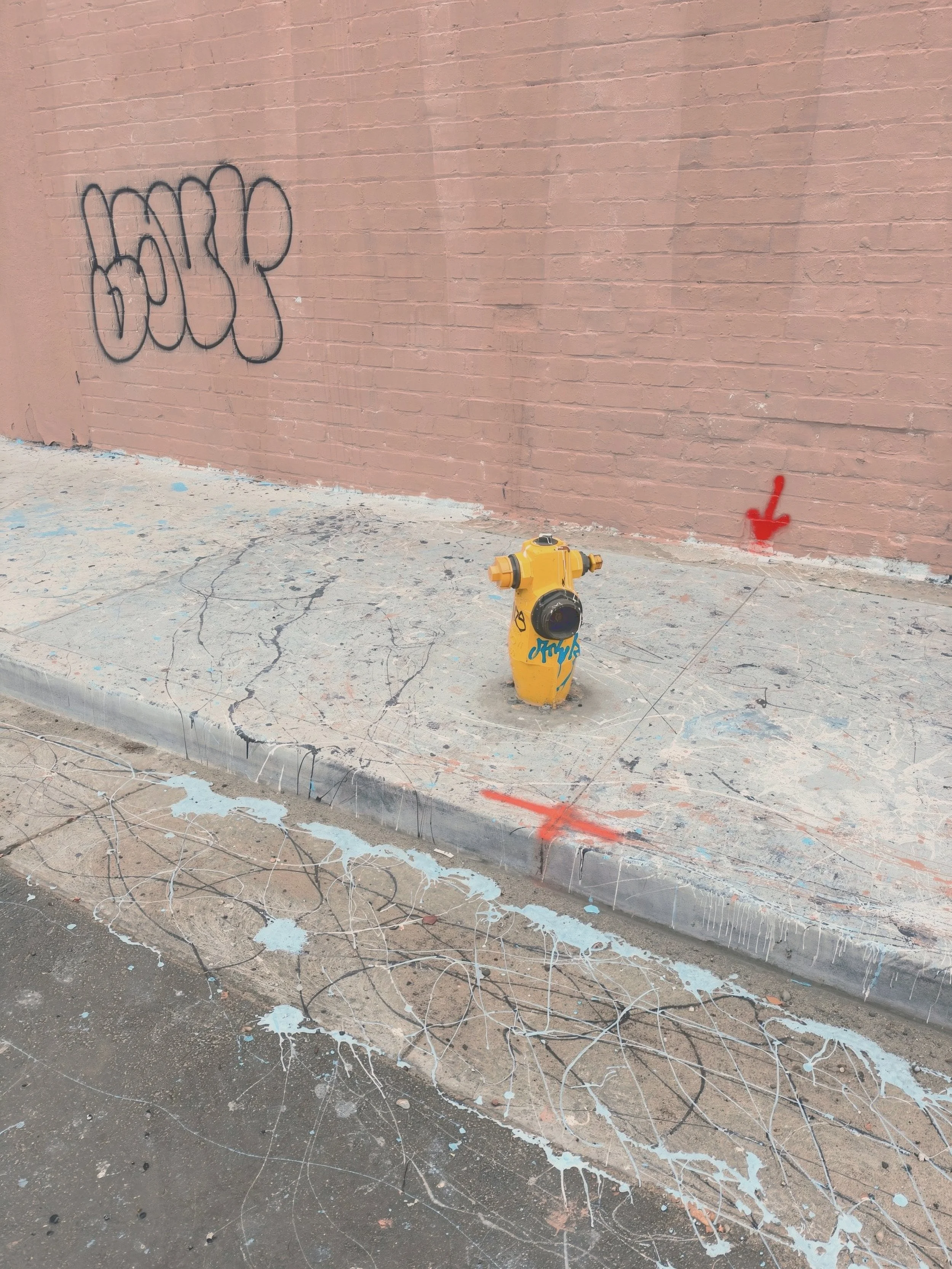 Runaway Pollock, it is pink and blue