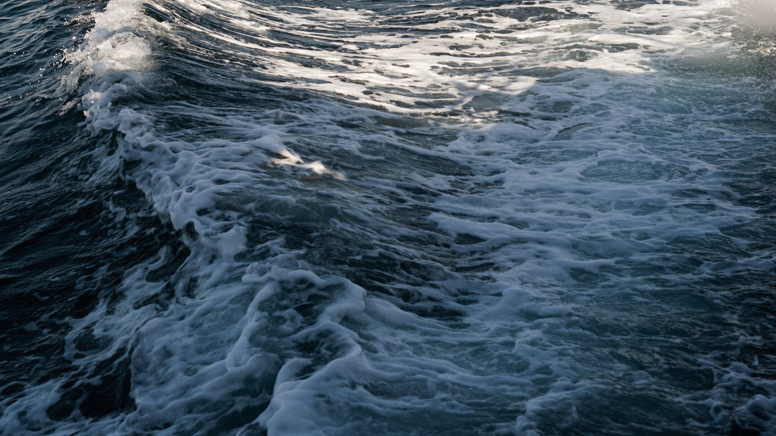 SANTA_CRUZ-07661.jpg