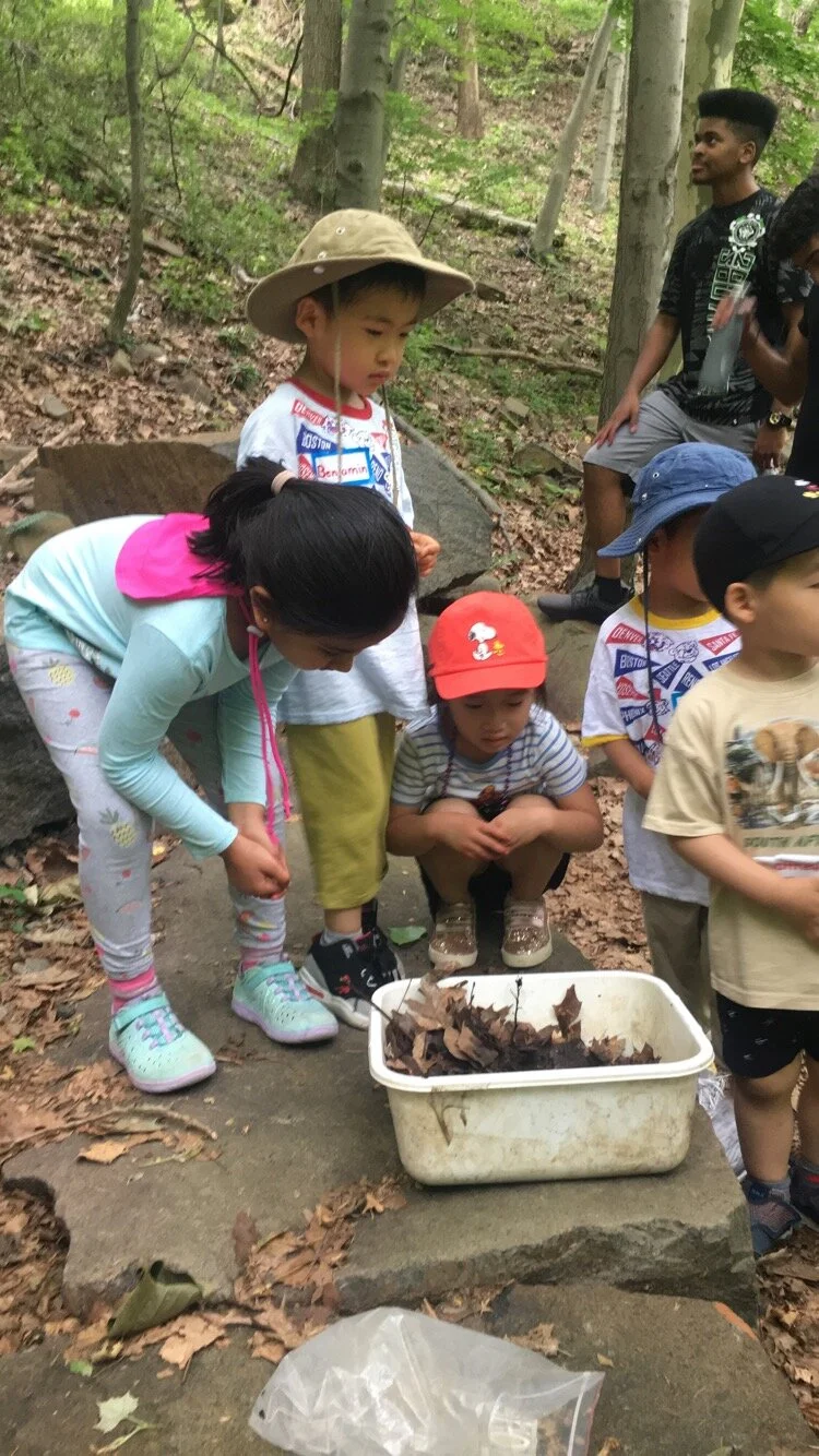 Flat Rock Brook Nature Center