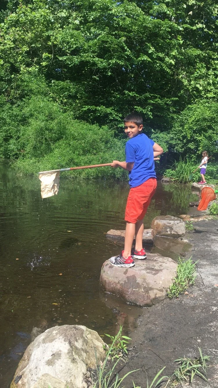 SOLD OUT Evening Family Camp: Salamander Search 
