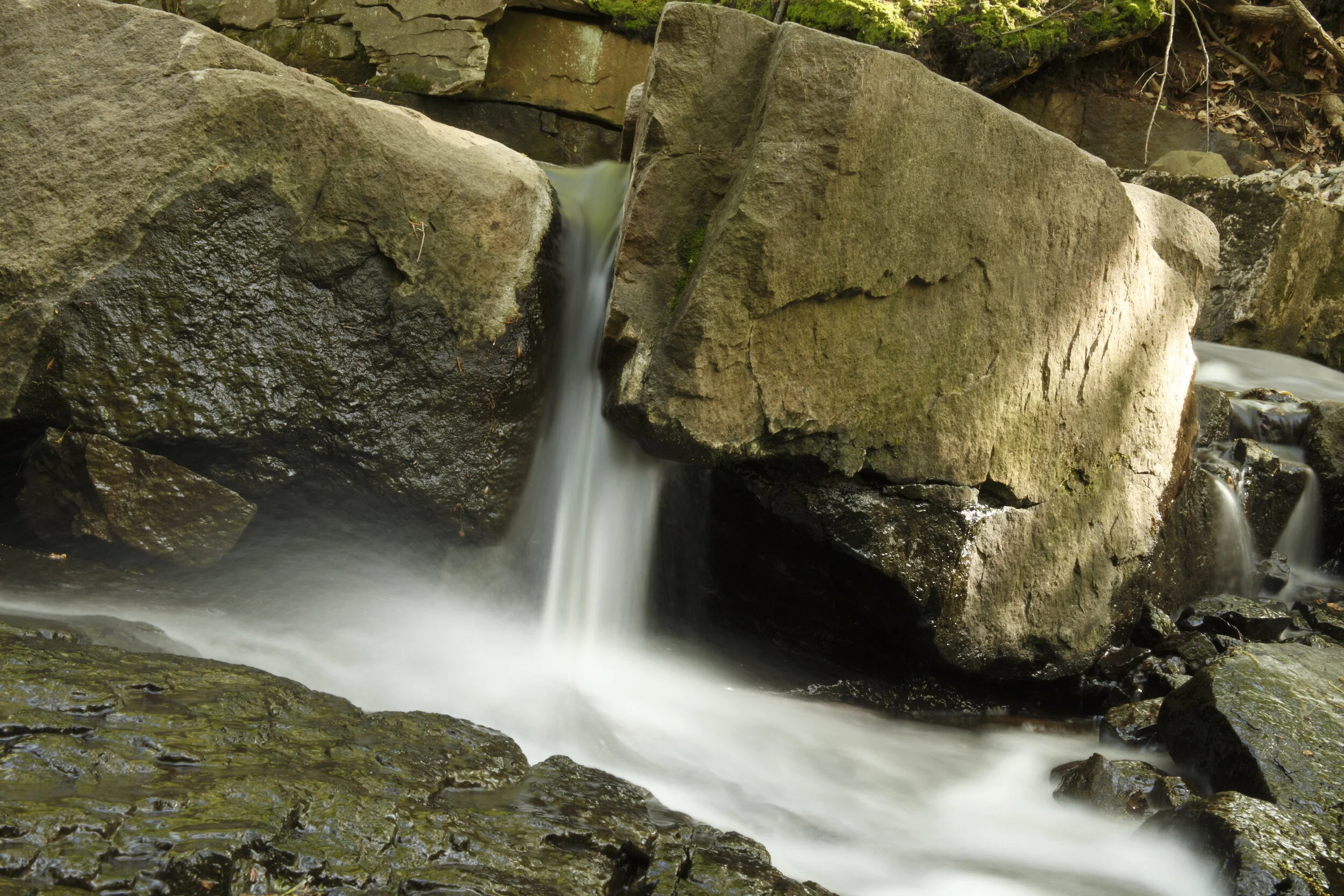 Webinar: Geology of Flat Rock Brook and Bergen County