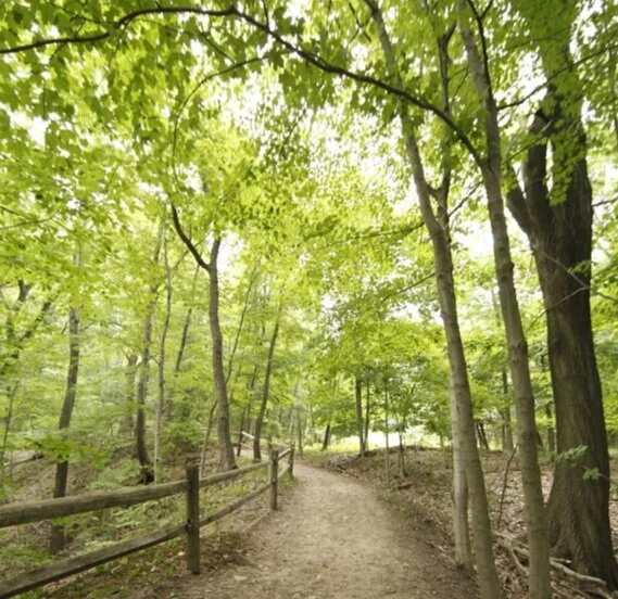 Search for Spring (Scavenger Hunt)