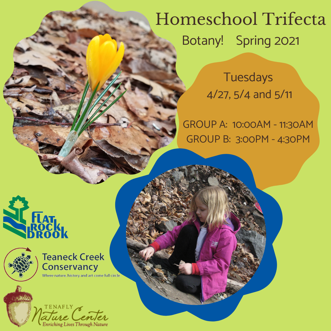 Homeschool Trifecta at FRB
