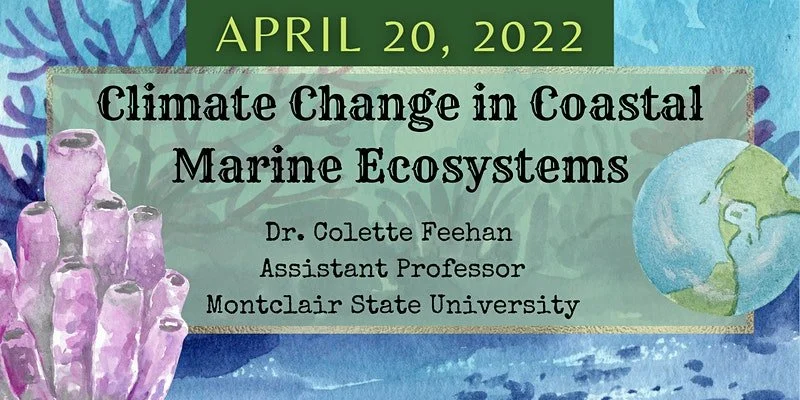 Women in STEM: Climate Change in Coastal Marine Ecosystems