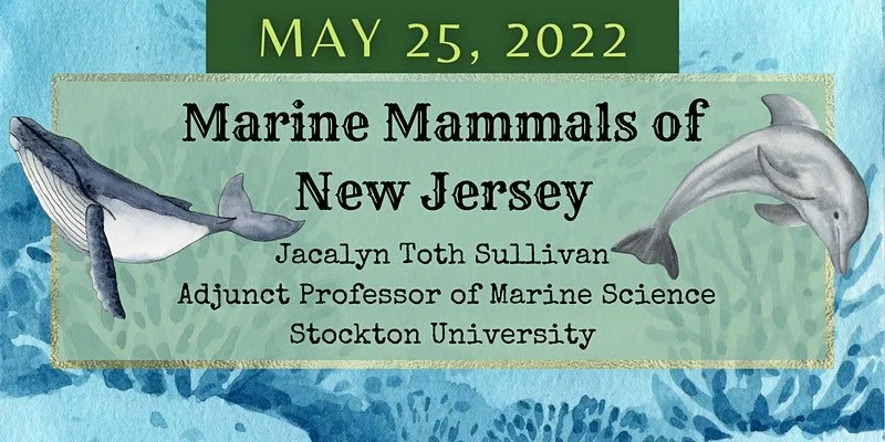 Women in STEM: Marine Mammals of New Jersey
