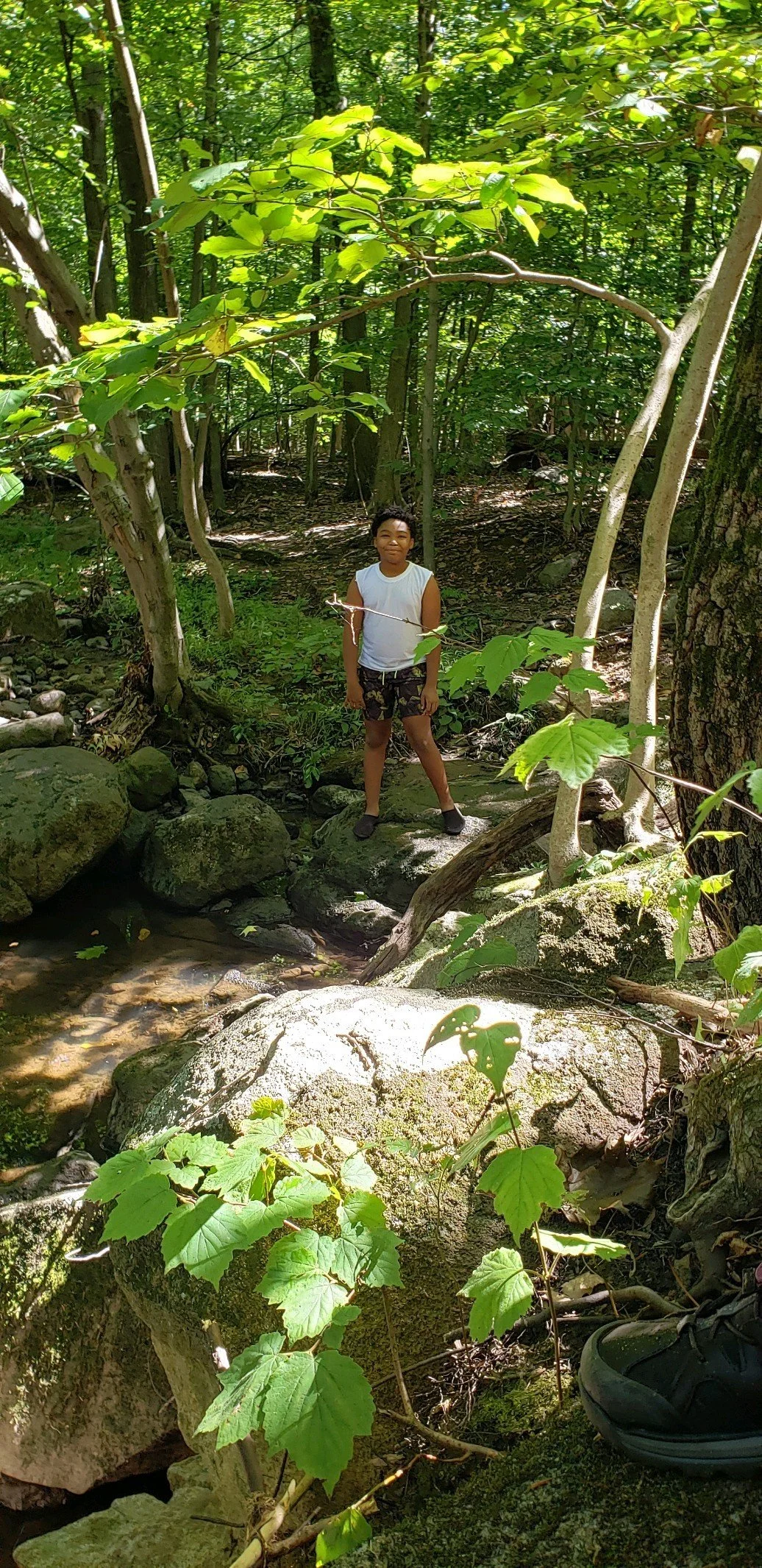 Julius Whiteside2.jpeg