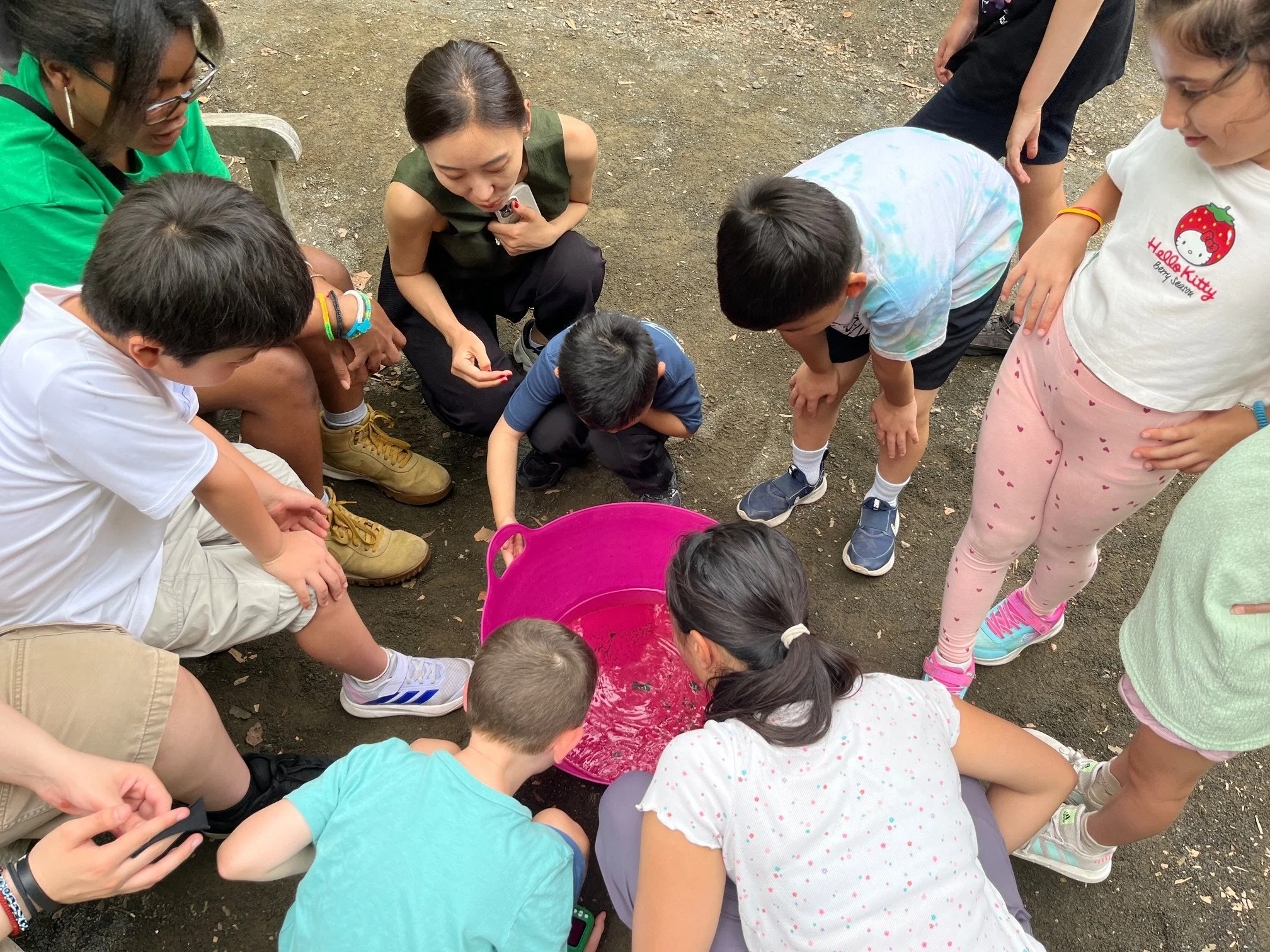 Summer Nature Camp Experience