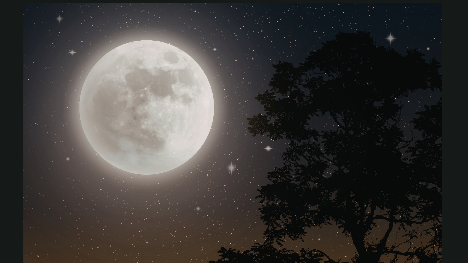 The Preserve After Dark!