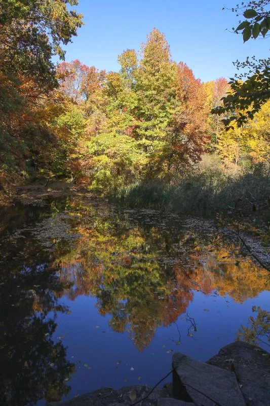 Autumn at Flat Rock
