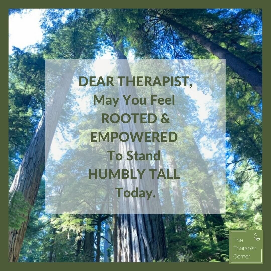 Dear Therapist, 

I thought of you when I was on my roadtrop to The Redwoods National Forest last week. 

I stood next to these tress and felt their strength, their beauty and their quietness. Just their presence, not anything they did, brought me st