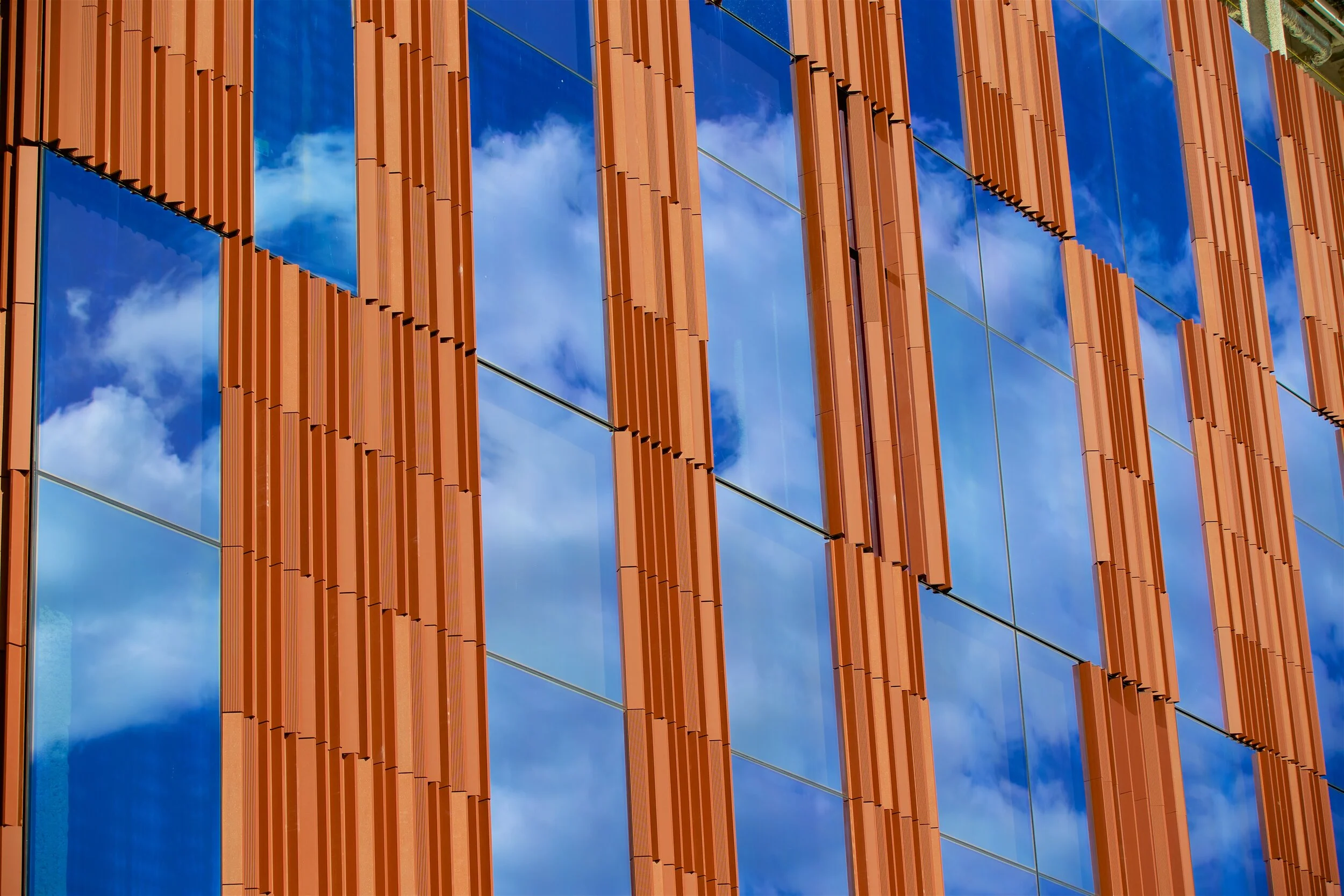 IMG_2554 - Version 2.jpg