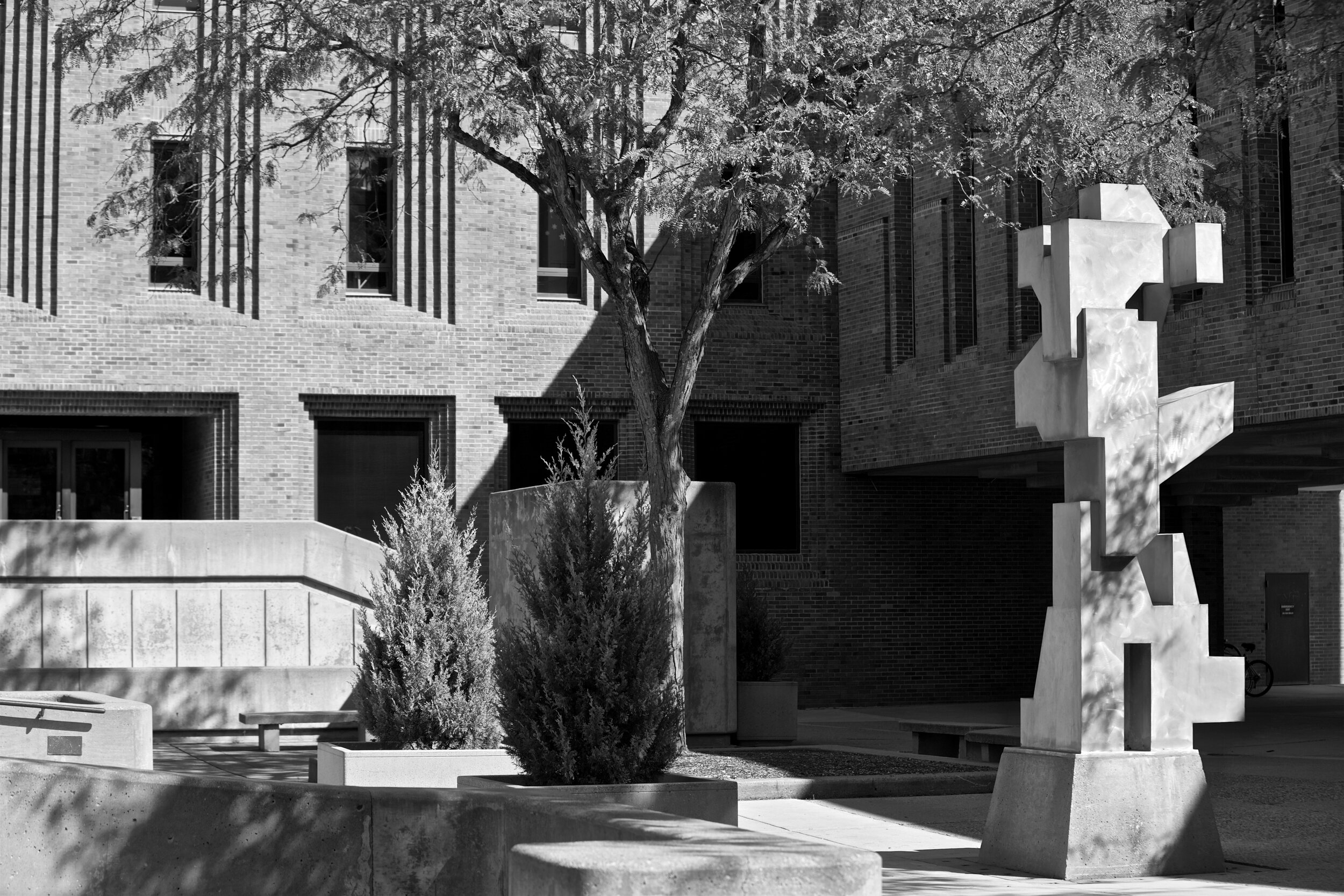 IMG_2555 - Version 2.jpg