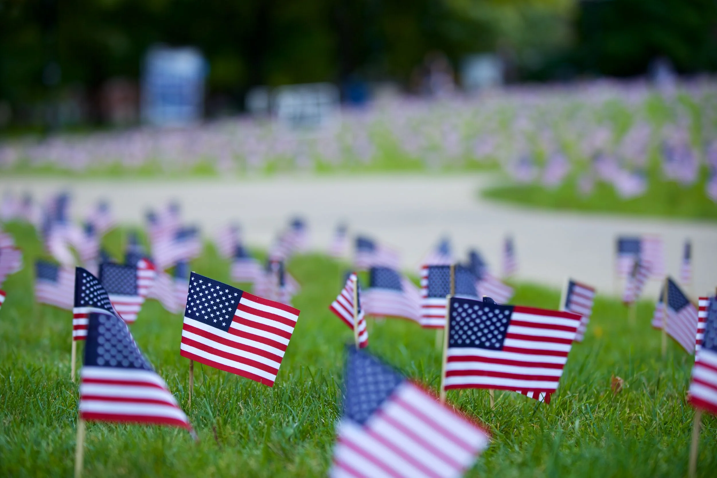 IMG_2564 - Version 2.jpg