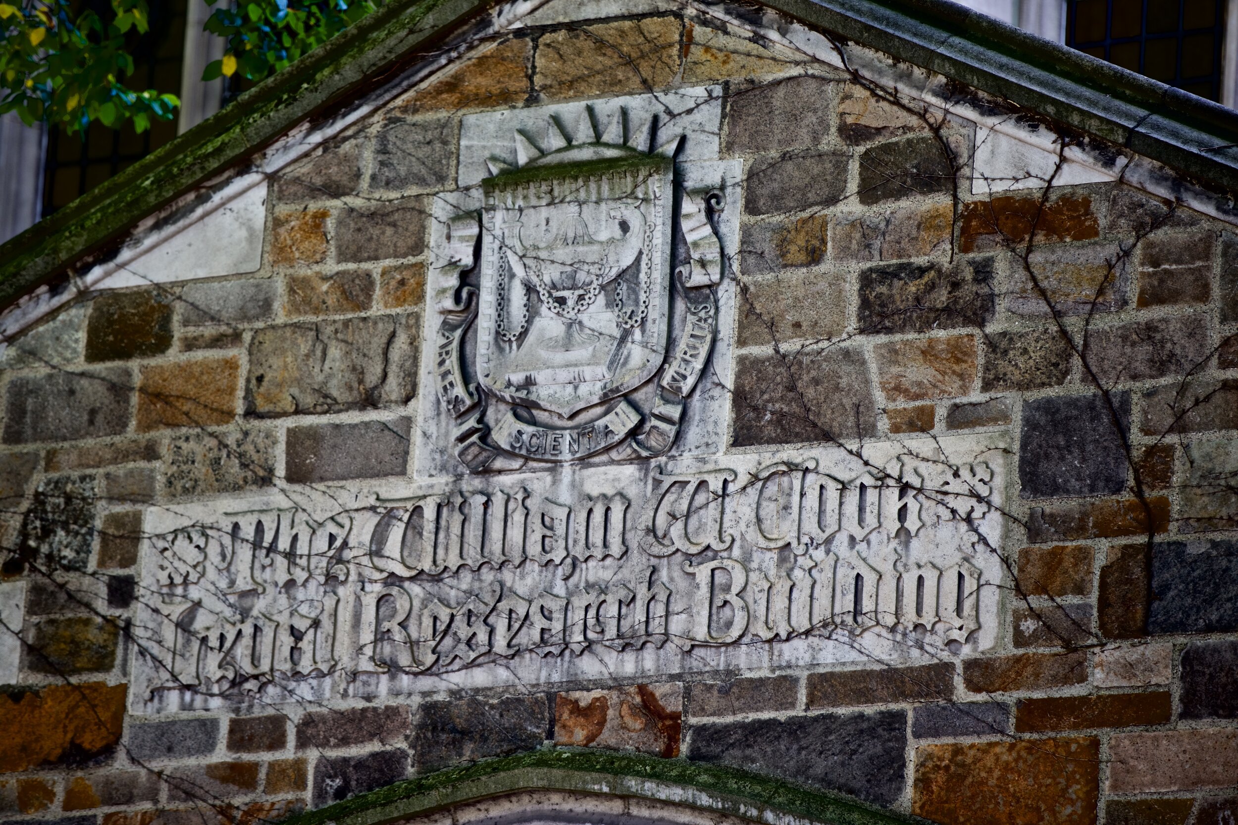 IMG_2611 - Version 2.jpg