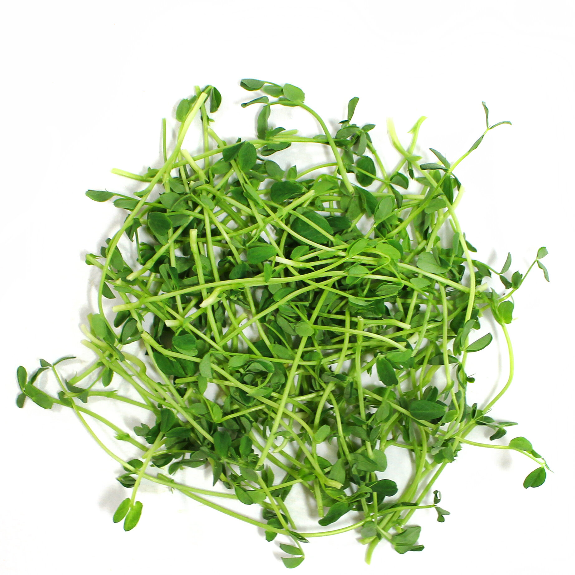 pea-pile.jpg