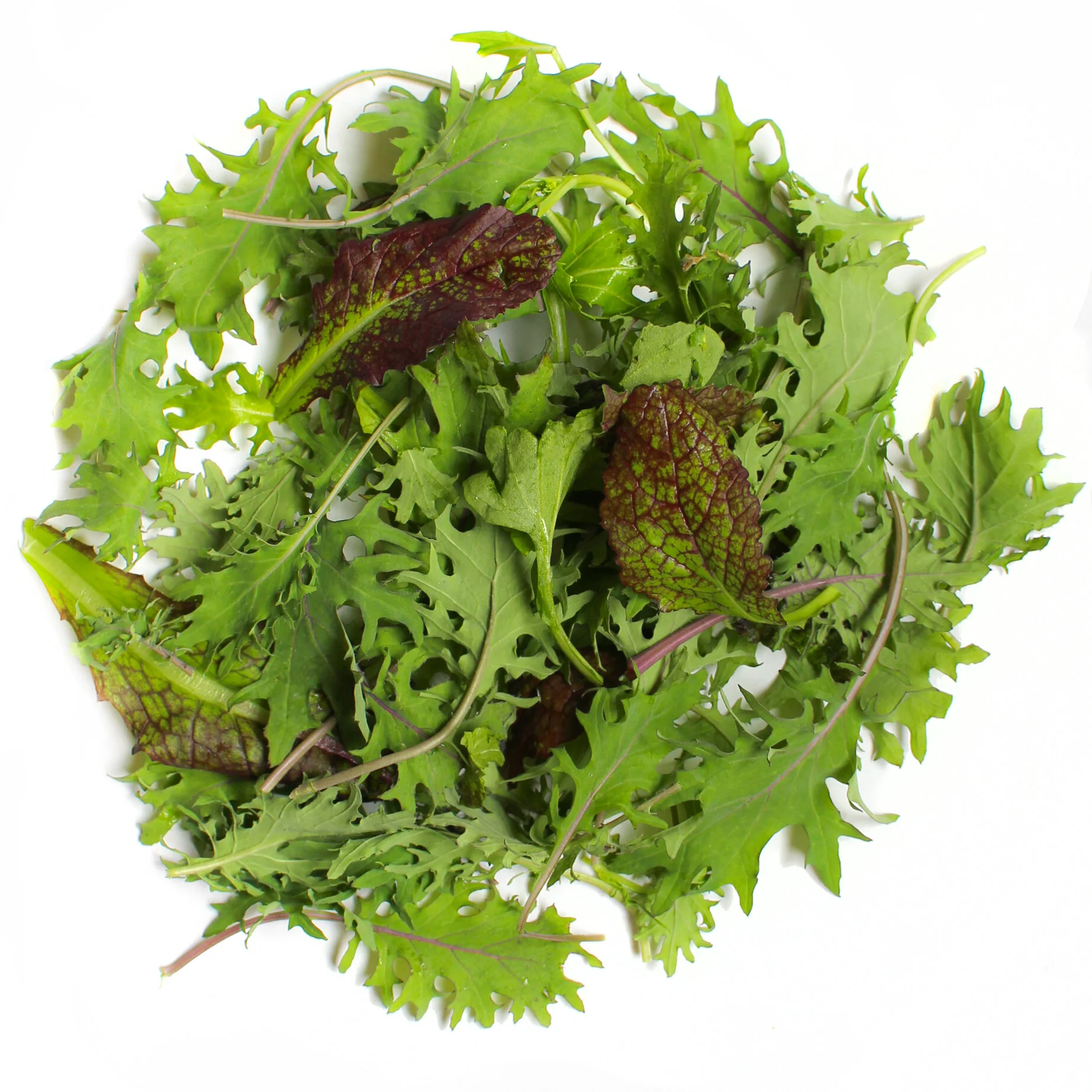 mixed-greens-pile.jpg