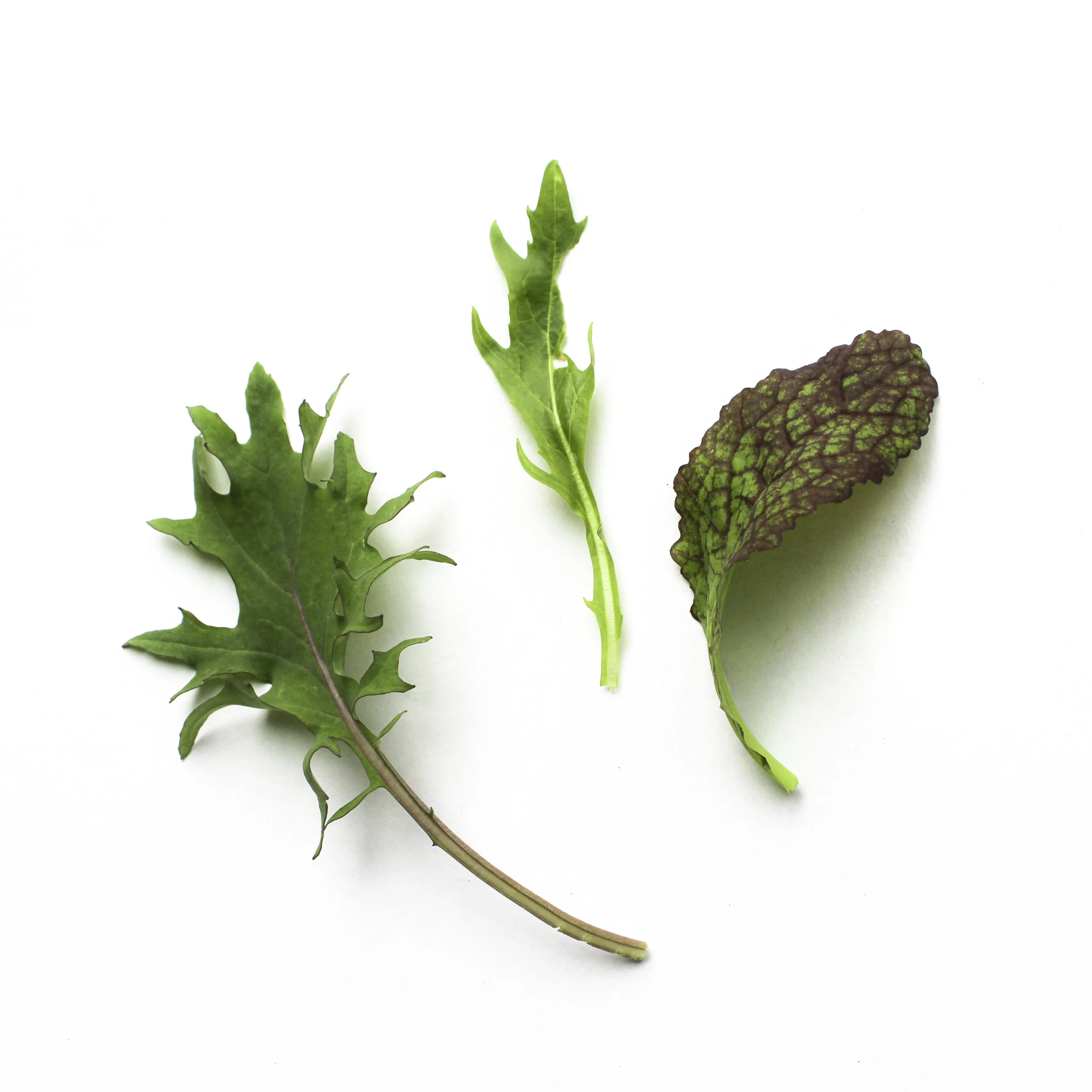 mixed-greens-detail.jpg