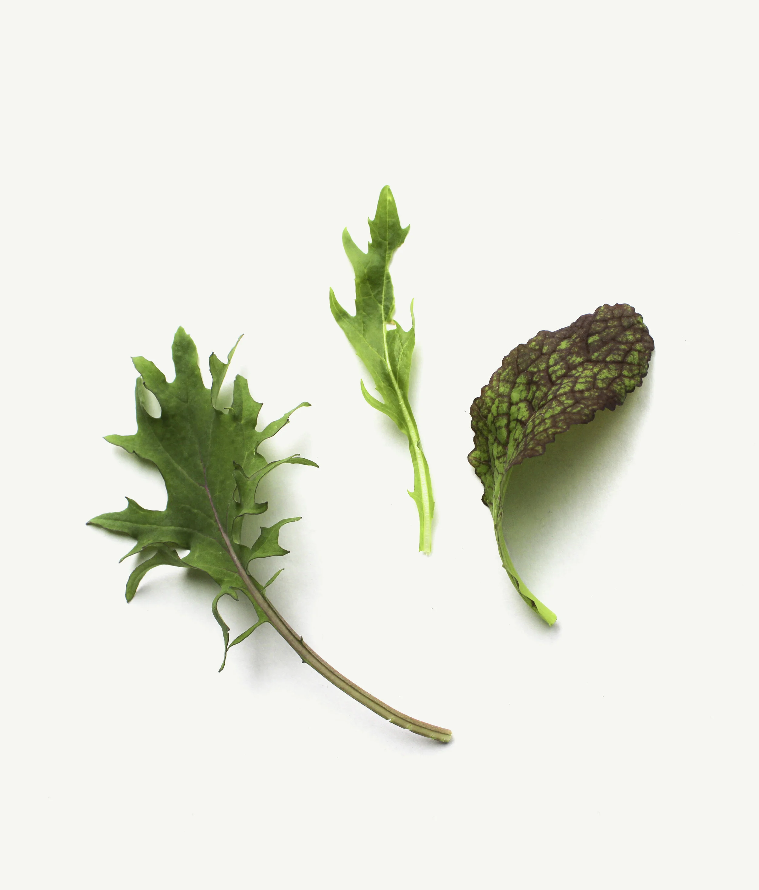 Order for Pickup: Mixed Greens 1/2 lb