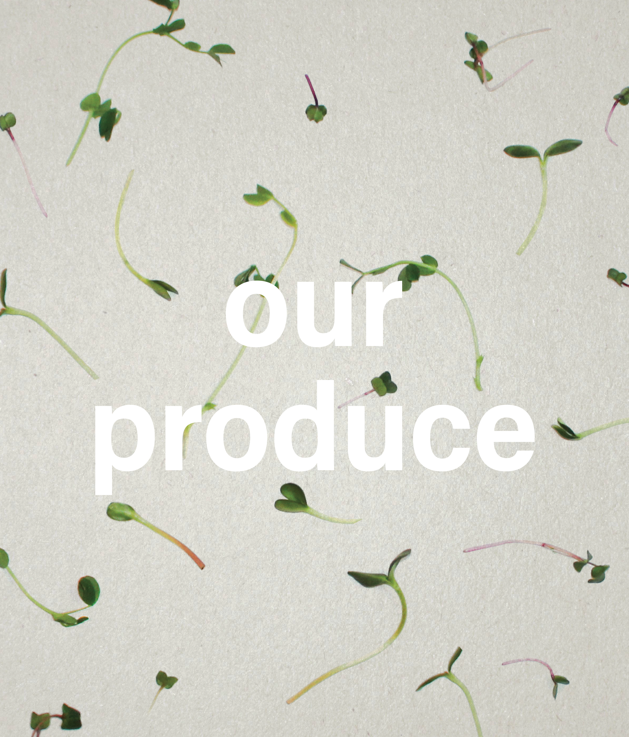 our-produce-22.png