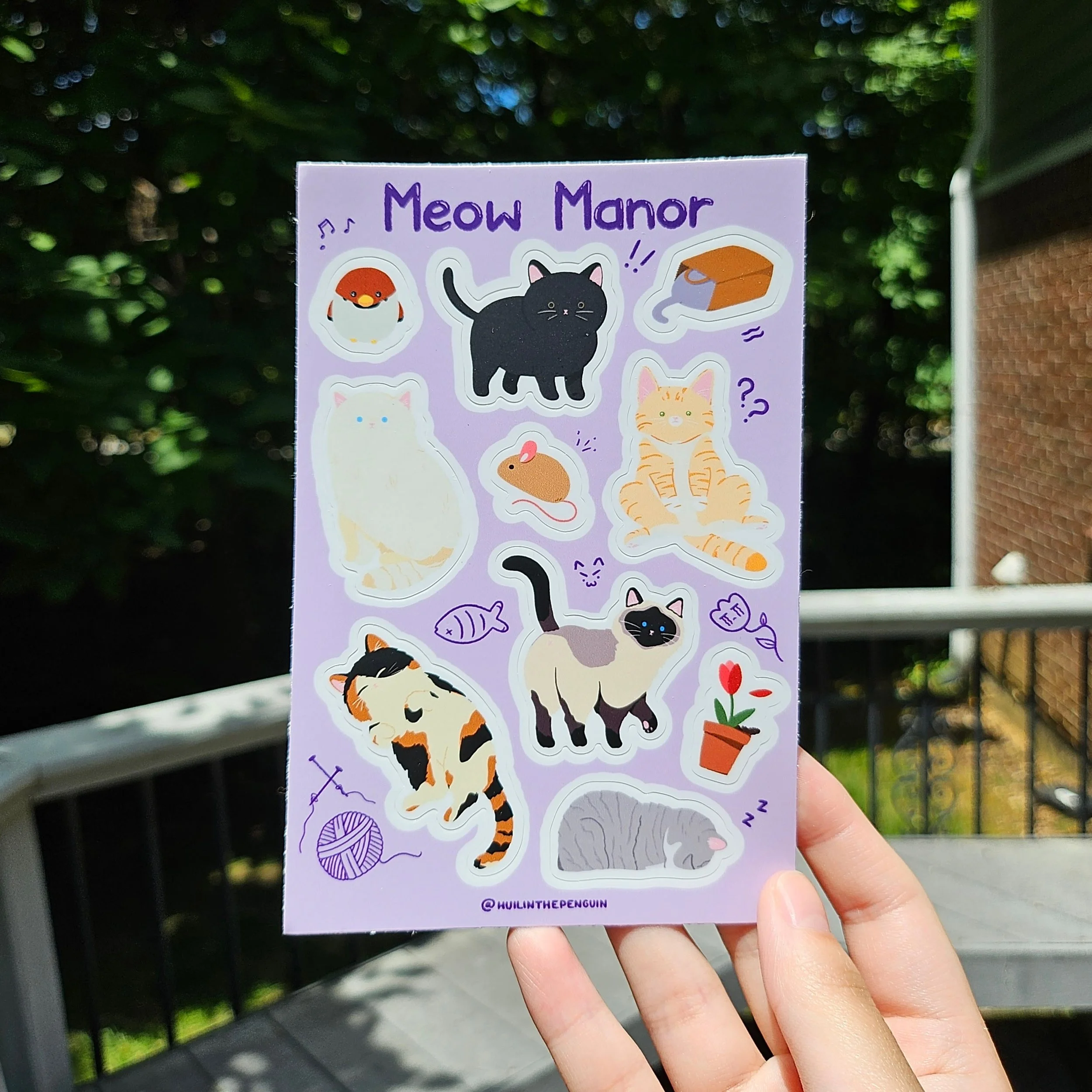 Meow Manor