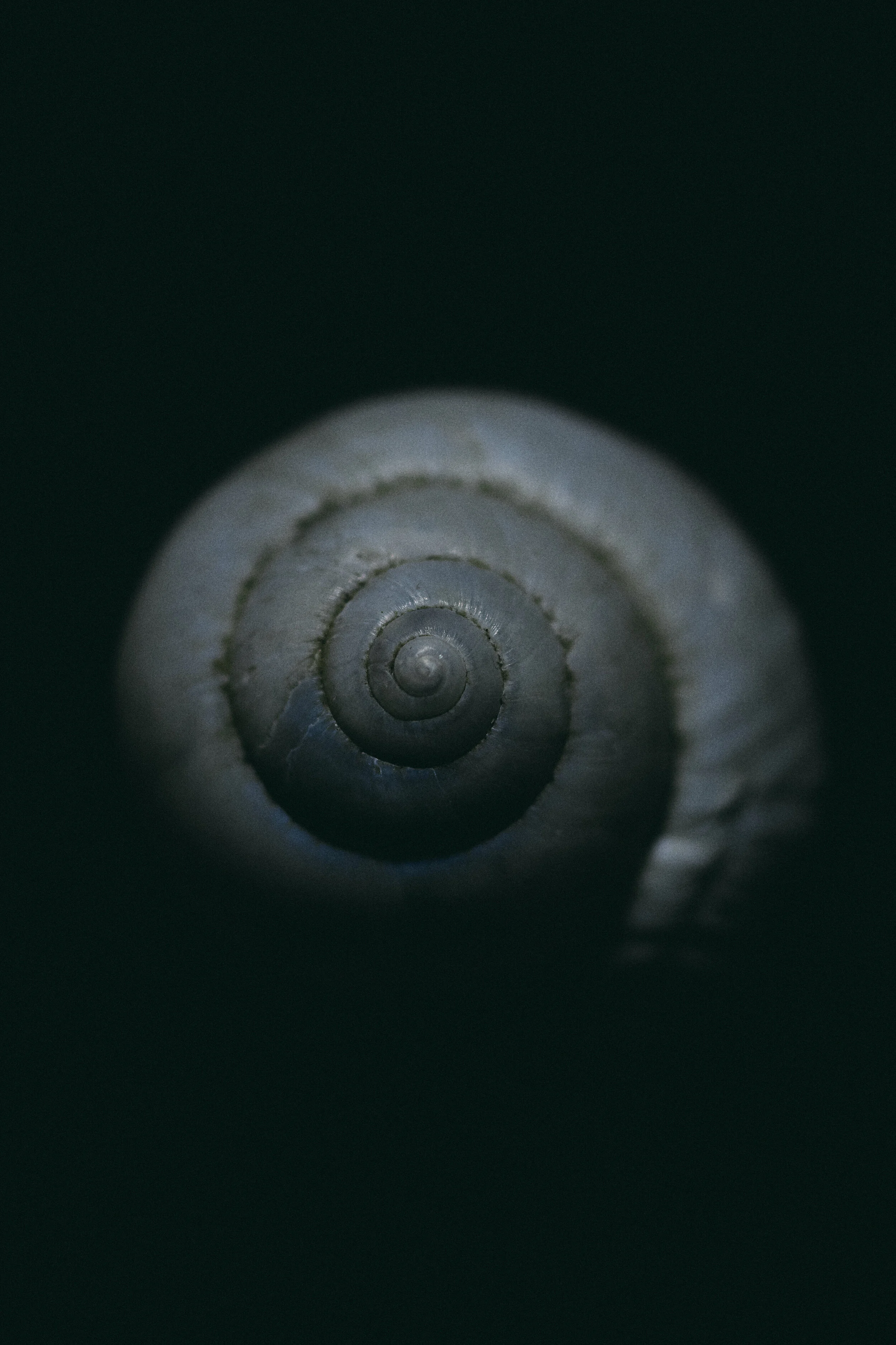 Advanced Vortex Healing Sessions® Joshua Maree South Africa — Joshua