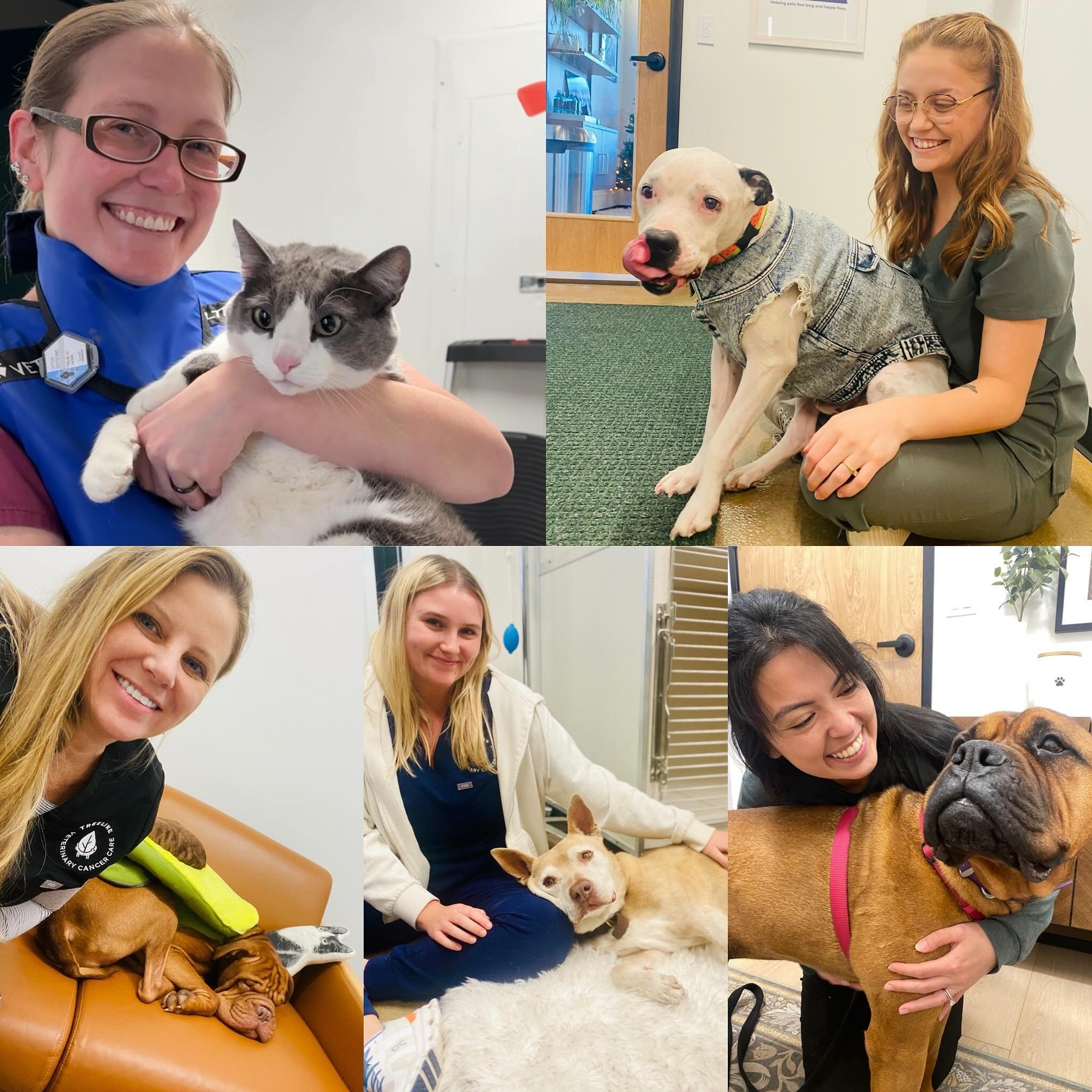 It&rsquo;s World Veterinary Day!  Thank you to all our colleagues that work tirelessly to protect the health of all animals.  We are in this together! ❤️🐕&zwj;🦺
#worldveterinaryday 
#TreelineVet #AnimalCancer #VeterinaryOncology #VeterinaryCancer #