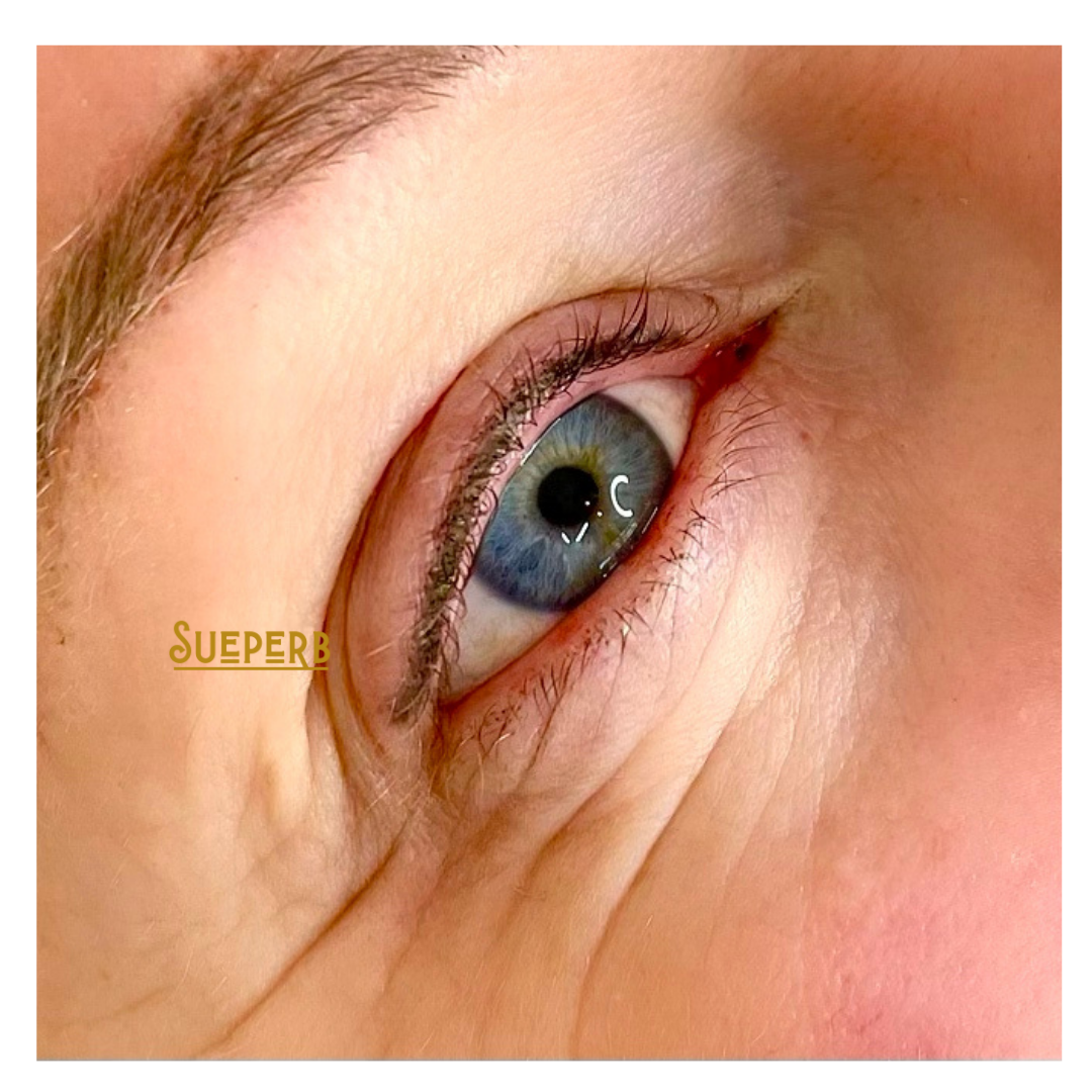 Upper lid eye linerPNG.PNG